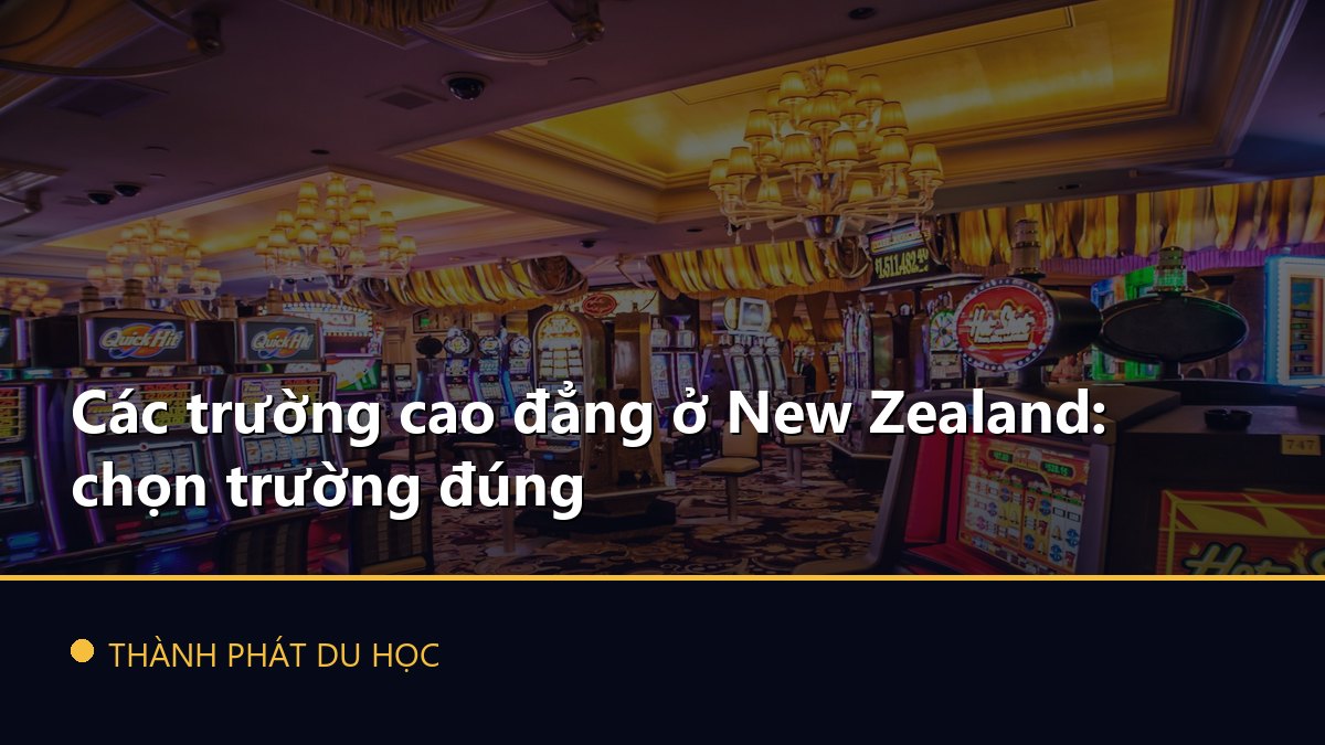 Các trường cao đẳng ở New Zealand: chọn trường đúng
