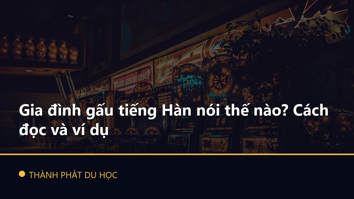 Gia đình gấu tiếng Hàn nói thế nào? Cách đọc và ví dụ