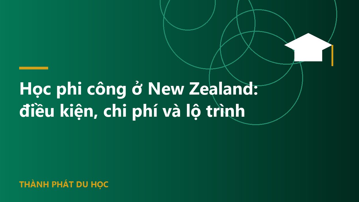 Học phi công ở New Zealand: điều kiện, chi phí và lộ trình