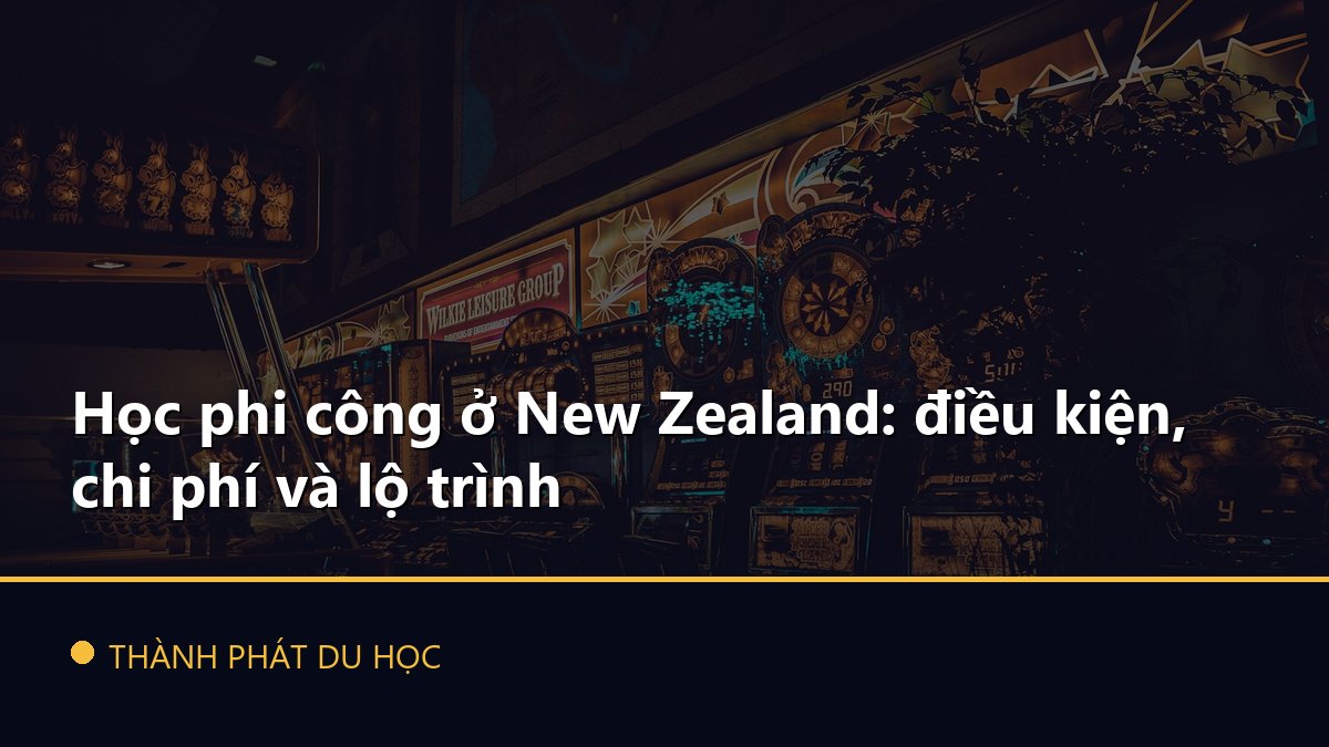 Học phi công ở New Zealand: điều kiện, chi phí và lộ trình