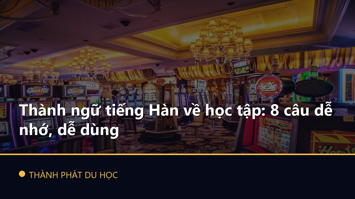 Thành ngữ tiếng Hàn về học tập: 8 câu dễ nhớ, dễ dùng